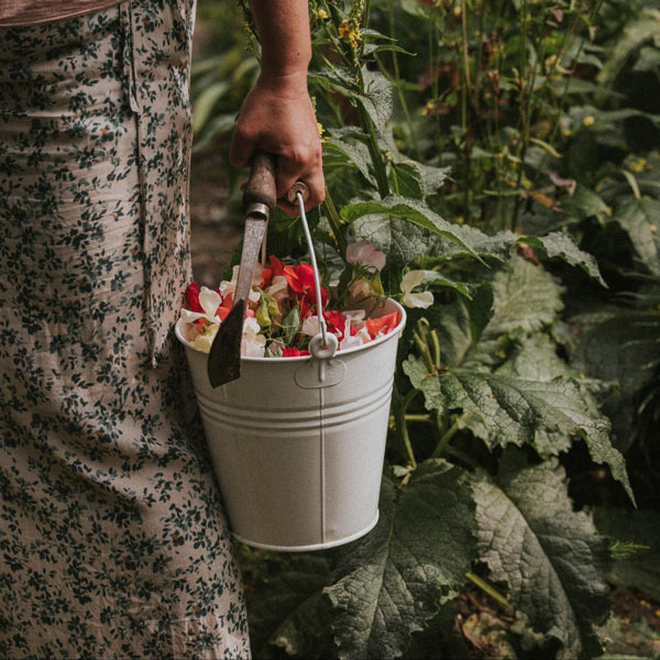 In meinem Garten ernte ich nachhaltige und regionale Blumen