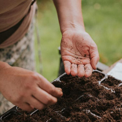 Wir arbeiten im Garten mit Blumen